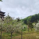 김천공단정비
