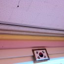 숲속화인어린이집 이미지