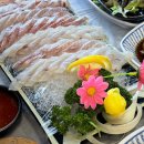 안경마을 마린푸르지오점 | 거제 소노캄 근처 맛집 강성횟집 물회 전문점 모듬회 내돈내산