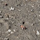 장흥2리 마을회관 앞 | 강화도 동막해변 야영장 차박(2)