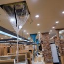 백균약품 이미지