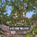 베니샤프커피(본점) 네이버블로그