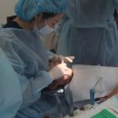 서울어린이치과의원 이미지