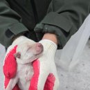 가회초등학교 이미지