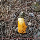 독산성 동문 이미지