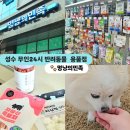 시흥애완용품점 | 나혼자산다 이주승 방문, 애완동물 간식 가격, 성수동 반려견 동반 가능 용품점, 내돈내산, 장난감...