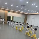 인하코리아 태권도 이미지