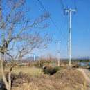 마중오름 이미지