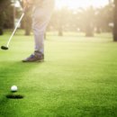 그린골프존 이미지