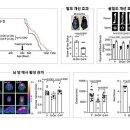 이상커뮤니케이션즈