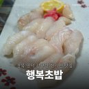 행복초밥 | 경북 영덕 강구항 현지인 맛집 행복초밥 - 오마카세 / 점심 예약 후기