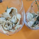 아쿠아트 이미지