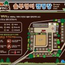솔부엉이캠핑장