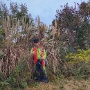 소의초교 이미지