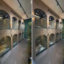 옐레드 애견유치원 & 애견호텔 대전노은점 이미지