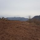 동부리태양광발전소 이미지