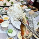 [군산여행] 4만원으로 즐기는 회코스, 현지인맛집 군산실비횟집 방문후기
