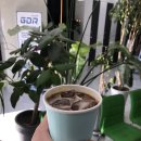 골프존 에코 GDR 아카데미 이미지