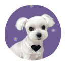 하얀이언니네 이미지