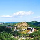 송이밸리자연휴양림 이미지