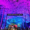 이음숲