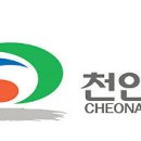 천안시승마협회 이미지