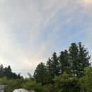 청지목 | 제주 조천 맛집 닭 샤브샤브가 맛있는 청지목가든