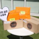 진로세탁 이미지