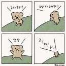 카페도라