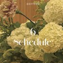 슬로우벗베럴요가스튜디오 | 잠실나루요가 슬로우벗베럴 6월 시간표