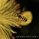 서울방송스피치아카데미학원