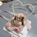 코알라멜로우 이미지