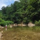 강림면357 이미지