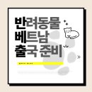 공항 동물병원 | [고양이 출국 후기] 인천공항 제2터미널 대한항공 출국 후기 (인천공항 T2 검역소 위치, 비용)