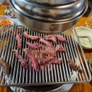 나노갈매기 이미지