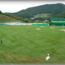 진남체육공원 야구장 이미지