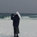 바다 그리고 이미지