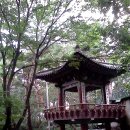 날라리타운 이미지