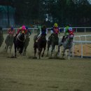 경마공원 이미지