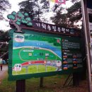 밀양유원지야영장 | 경남캠핑 밀양캠핑 밀양기회송림야영장 주말vs평일
