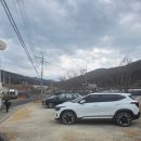 명곡토종미나리3호