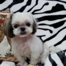 만덕3동-11 이미지