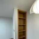 동아목련 이미지