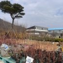 산림조합주유소 이미지