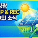 금도깨비 태양광발전소 | 2026년 2월 20일 태양광 SMP·REC 가격 정리 (발전사업 기준)