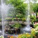 초록목장 이미지