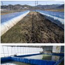대전 마을기업 매노3동 영농조합 - 승상골 체험마을 이미지