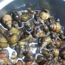 작원관지 이미지