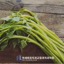 연세글로리치과의원 이미지