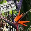 수피아 이미지